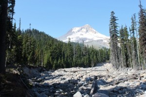 Mt Hood. West side. Doug Campbell Photo