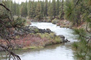 Deschutes River. Central Oregon Doug Campbell Photo