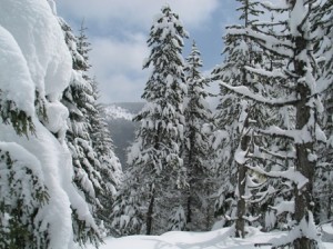 Pacific Crest Trail. Barlow Pass. Doug Campbell Photo