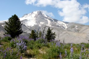 Mt.Hood.Pacific Crest Trail. Doug Campbell Photography